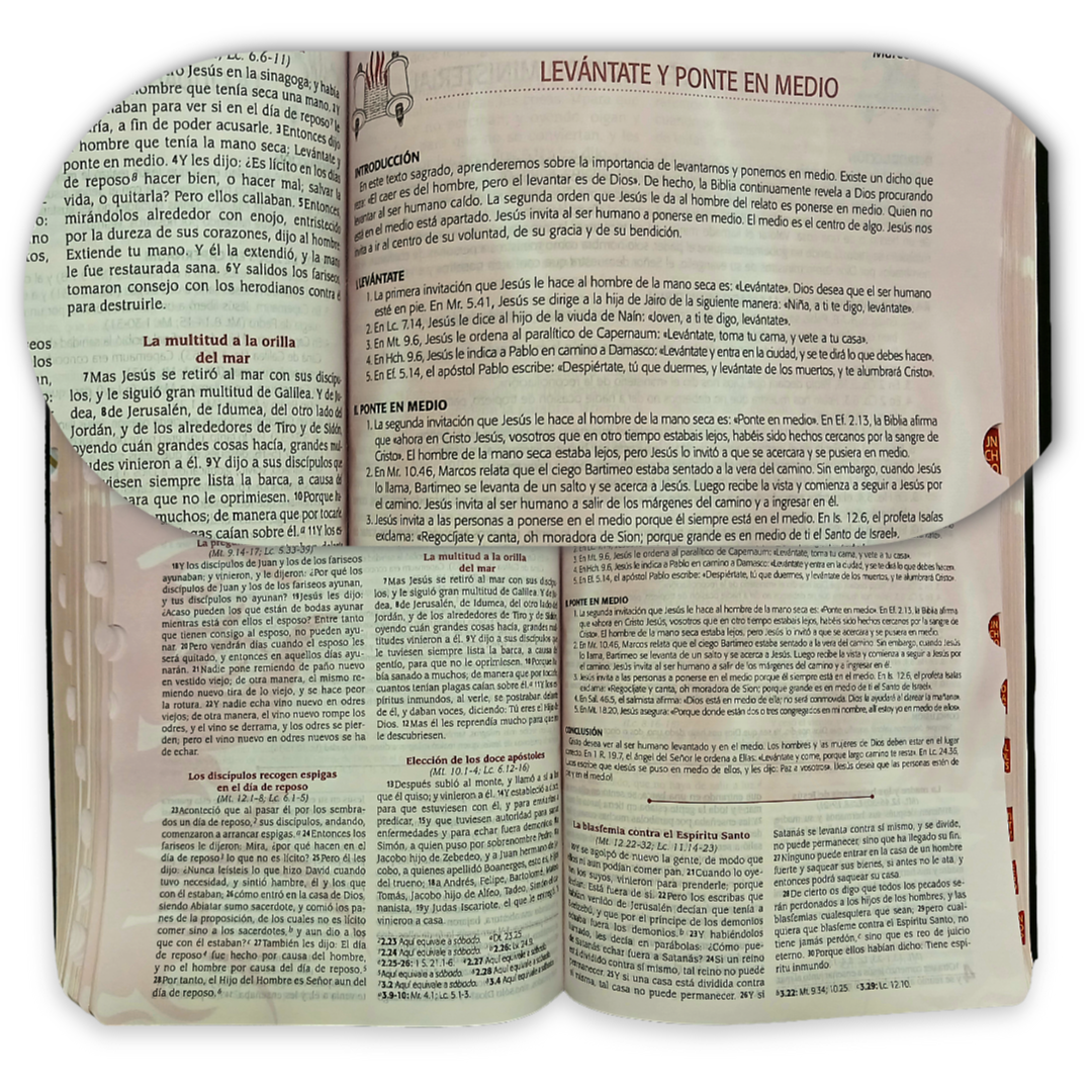Biblia De Estudio Para La Predicación De Avivamiento Piel