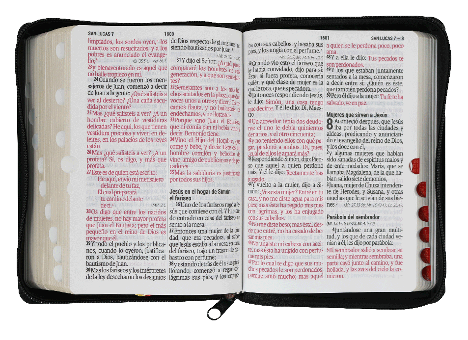 Biblia Reina Valera 1960 Letra Mayor 11 Puntos Cierre Negro