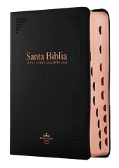 Biblia Reina Valera 1960 Concordancia Indice Letra Mayor