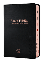 Biblia Reina Valera 1960 Letra Gigante Negro 14 Puntos