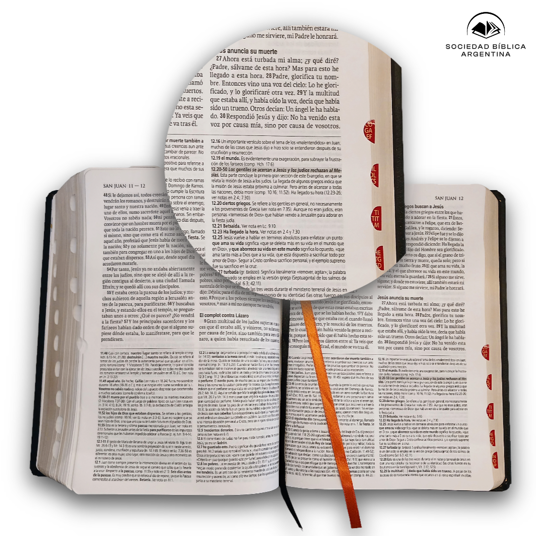 Biblia Reina Valera 1960 de Estudio Teológico Tapa Dura