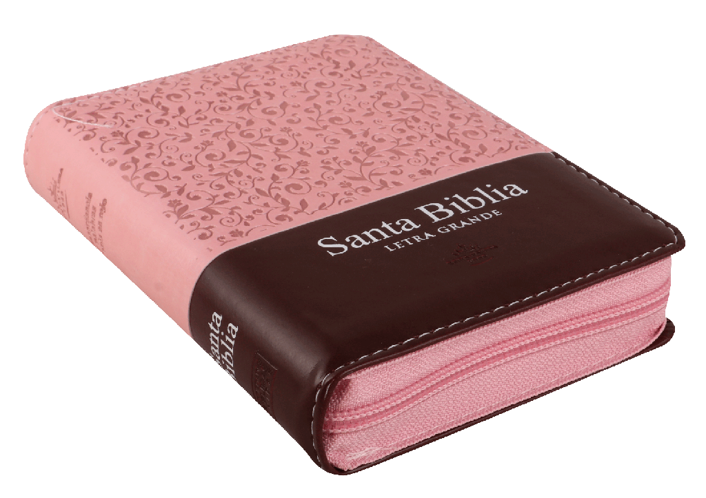 Biblia Reina Valera 1960 Letra Mediana 9 puntos Cierre Pjr Rosa Tamaño 10 x 14 cm