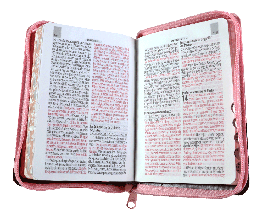 Biblia Reina Valera 1960 Letra Mediana 9 puntos Cierre Pjr Rosa Tamaño 10 x 14 cm