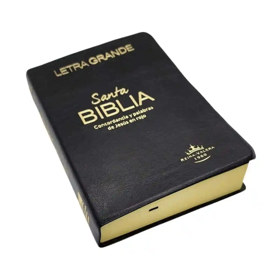 Biblia Reina Valera 1960 Letra 12 puntos 20.5 x 14 PJR Tapa Vinil Negro