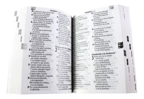 Biblia Reina Valera 1960 Letra Grande 14 puntos Concordancia PJR Tapa Rústica Barca orilla