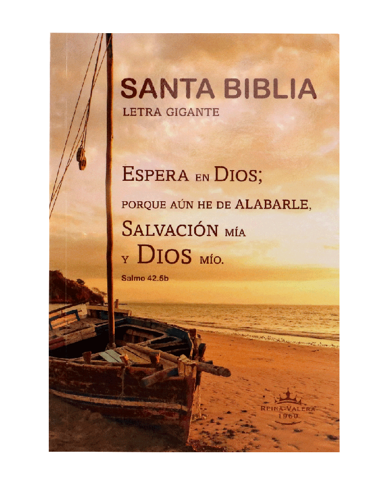 Biblia Reina Valera 1960 Letra Grande 14 puntos Concordancia PJR Tapa Rústica Barca orilla