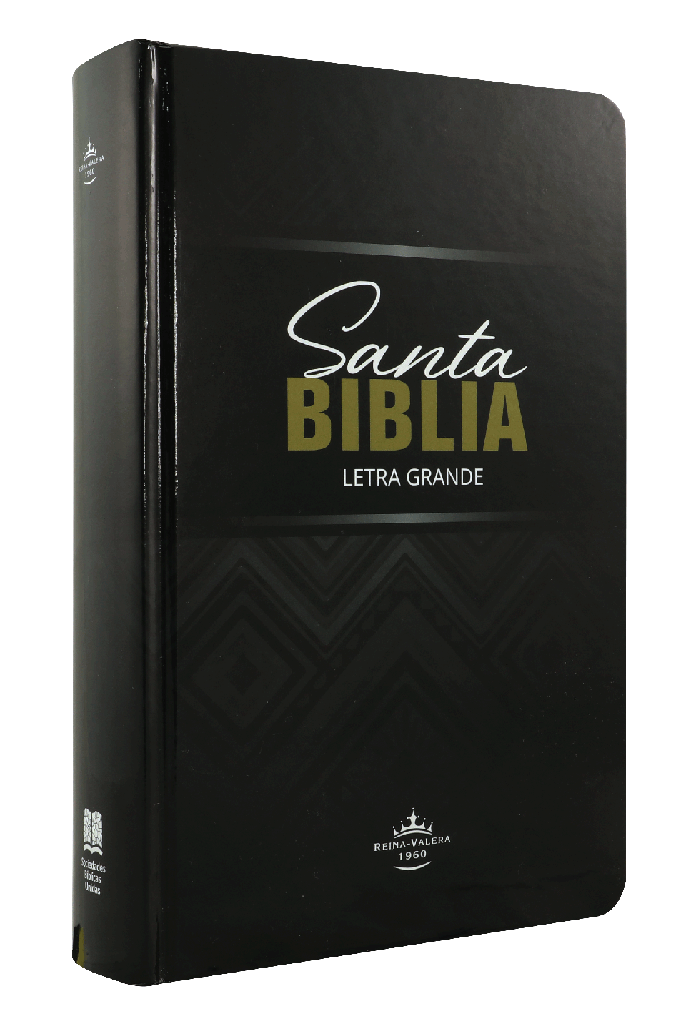 Biblia Reina Valera 1960 Letra Grande Concordancia Tapa Dura Negra