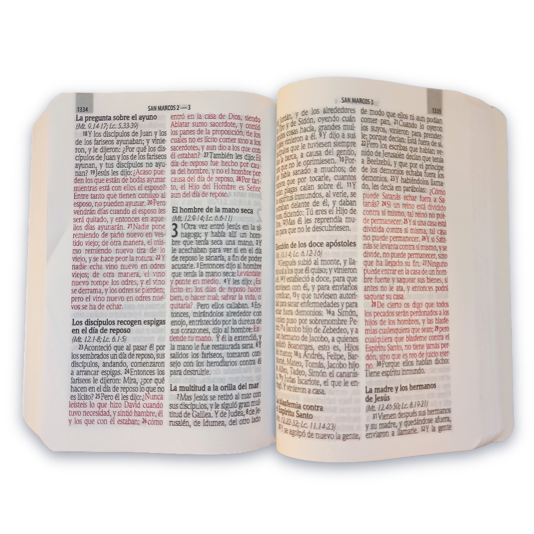 BIBLIA RVR.20c L 9 PUNTOS 10X14 PJR TAPA RUSTICA COLORES PIEDRA