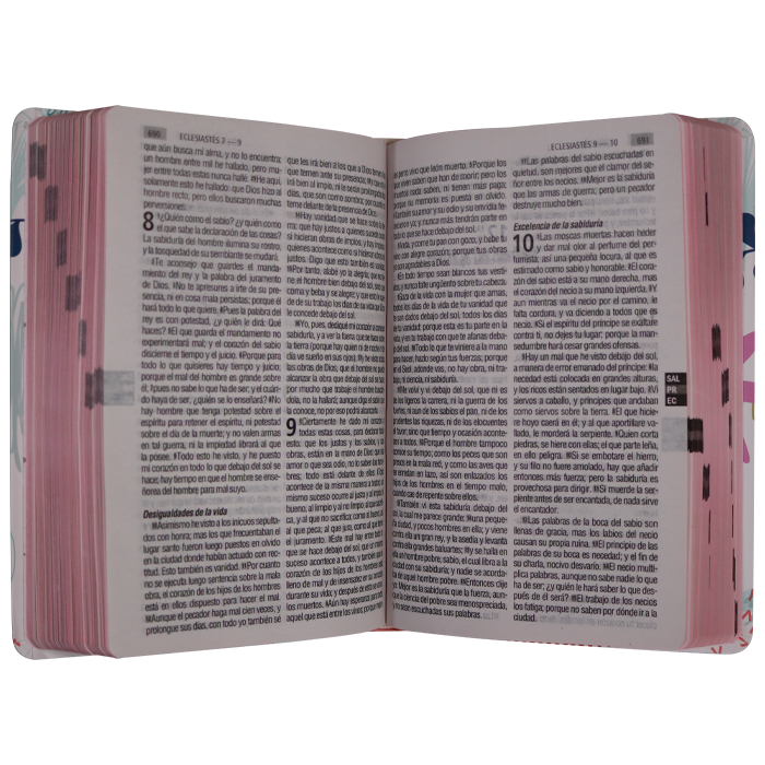 Biblia Reina Valera 1960 Letra Grande Tapa Semiflexible Flor