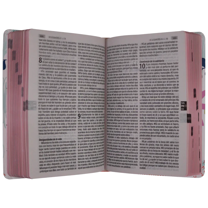 Biblia Reina Valera 1960 · Letra Grande · Palabras de Jesús en rojo · Semiflexible hojas coloreadas
