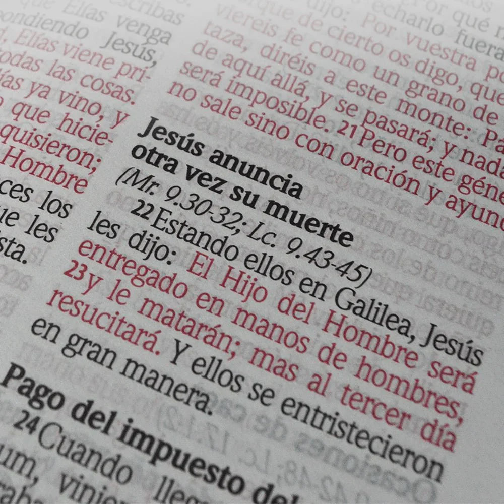 Biblia Reina Valera 1960 Letra Grande Concordancia Lila Hojas Y Flores
