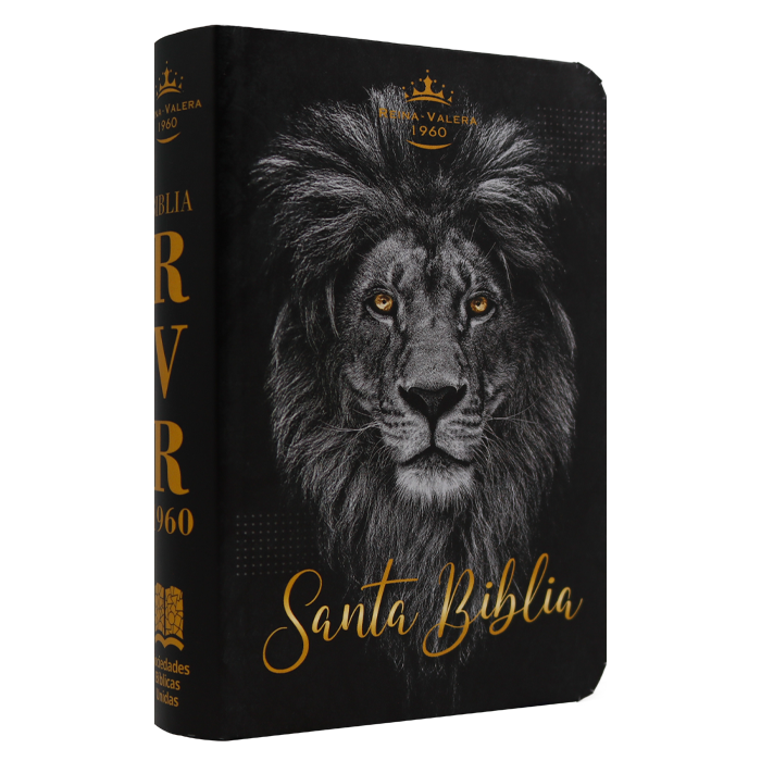 Biblia Reina Valera 1960 Pjr Negro