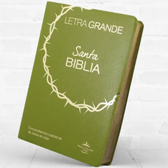 Biblia Reina Valera 1960 letra 12 puntos  20.5 x 14 PJR Covertex Verde