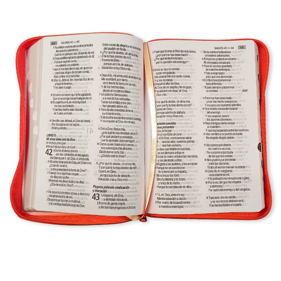 Biblia Reina Valera 1960 Letra 12p PJR cierre índice Covertex Naranja