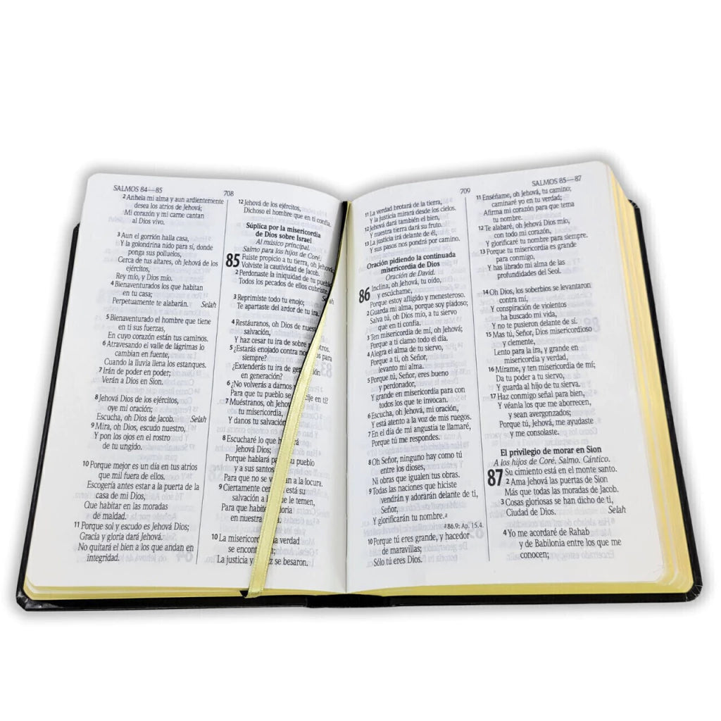 Biblia Reina Valera 1960 Letra Grande PJR Tapa Dura Negra Ilustrada