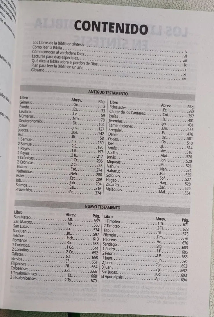 Biblia Reina Valera 1960 · Ultra Fina · Fuente de Bendición · Tapa rústica ilustrada para jóvenes