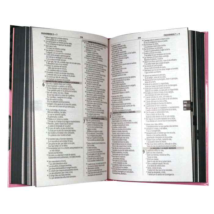 Biblia Reina Valera 1960 Misionera Tapa Dura Rosa PJR