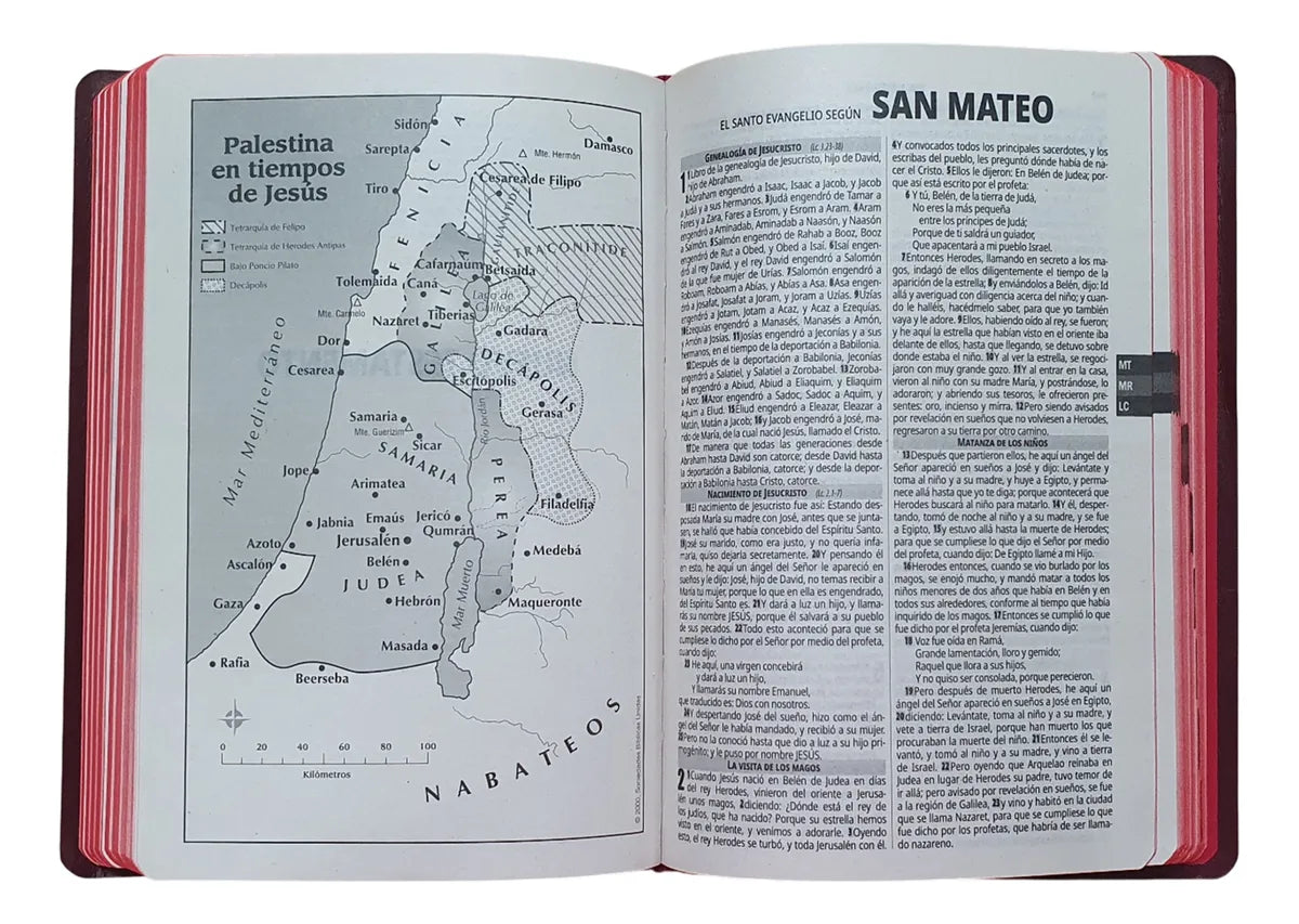 Biblia Reina Valera 1960 · Ultra Fina · Concordancia · Fuente de Bendición · Tapa flexible color vino
