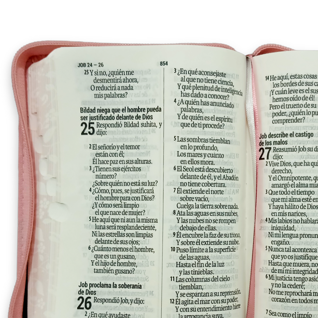 Biblia RVR 1960 Rosa/Marrón Quinceañera Tapa PU con Cierre, Índice, L 11pts