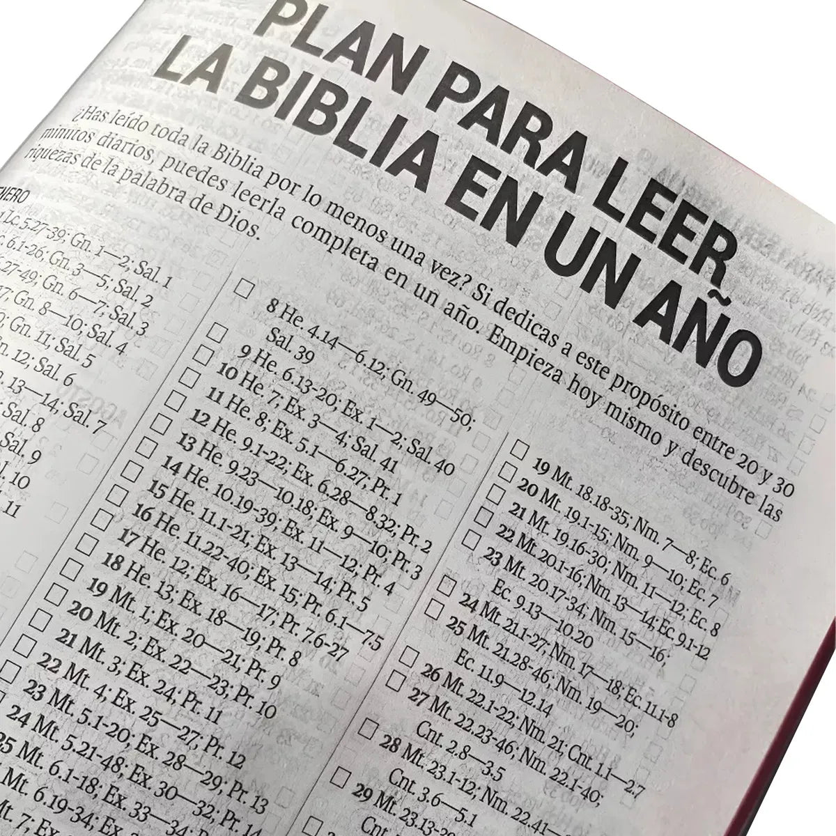 Biblia Reina Valera 1960 Letra Grande Concordancia PJR Cierre Vinil Negro