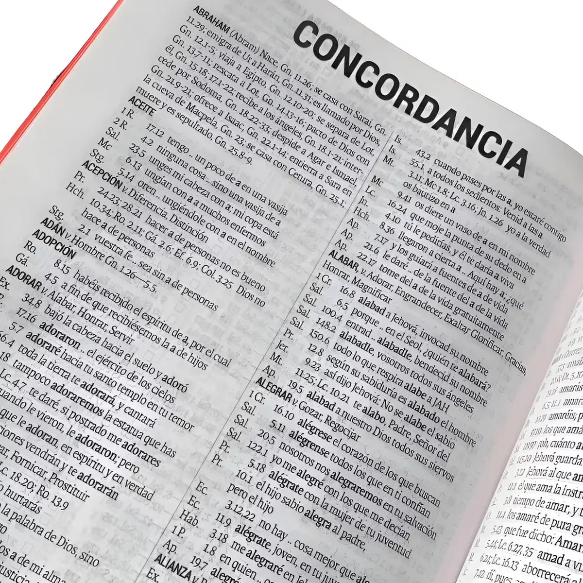 Biblia Reina Valera 1960 Letra Grande Concordancia PJR Cierre Vinil Negro