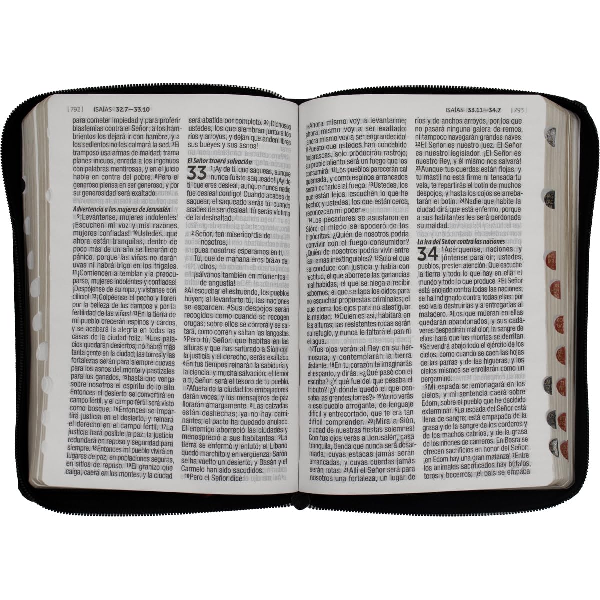 Biblia Reina Valera 1960 · 13,5x20 cm · Letra 12 pt · Letra grande · Con cierre e índice · Tapa imitación piel