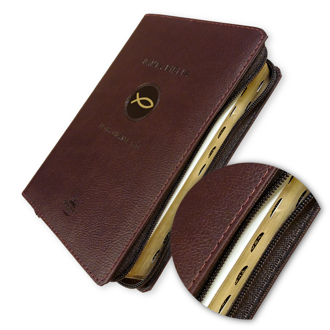Biblia RVR 1960 vino, Letra 14 pts, concordancia, PJR, Índice, 22x15 cm