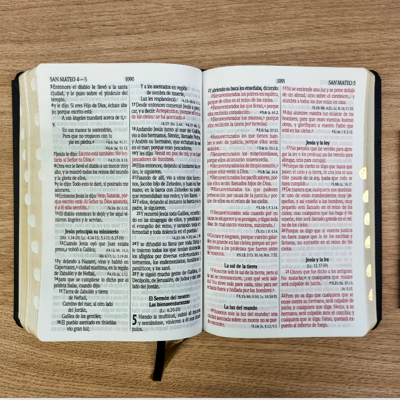 Biblia Reina Valera 1960 – Tapa Vinilo Aston Negra, Concordancia, Palabras de Jesús en Rojo, con Índice, 14 x 21 cm, Letra 12 Puntos