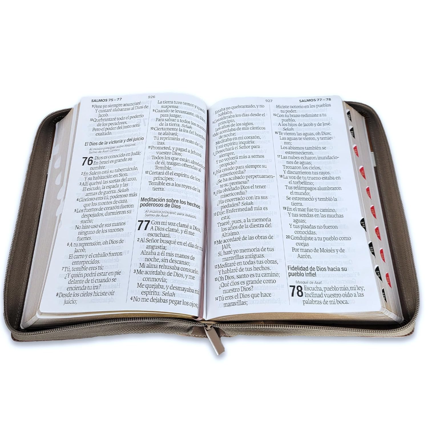Biblia Reina Valera 1960 – 088 – Con Concordancia – Letra 19 pts – 16x23 cm – Cierre con Índice – Café