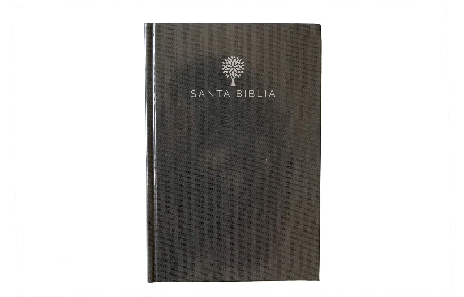 Biblia Reina Valera 1960 con Concordancia y Palabras de Jesús en Rojo – Tapa Dura Negro, Letra 12.5pt, 15x22 cm