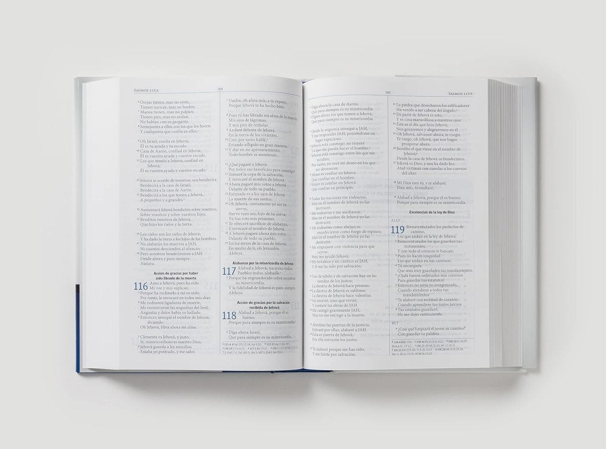 Biblia Reina-Valera 1960 De Liderazgo Maxwell, Tamaño Manual, Tapa Dura