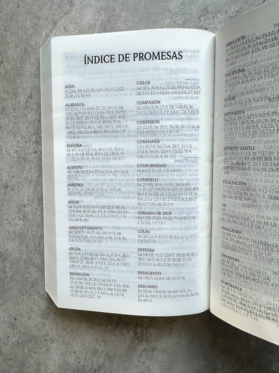 Biblia Reina Valera 1960 de Promesas · Edición económica · Tapa dura negra
