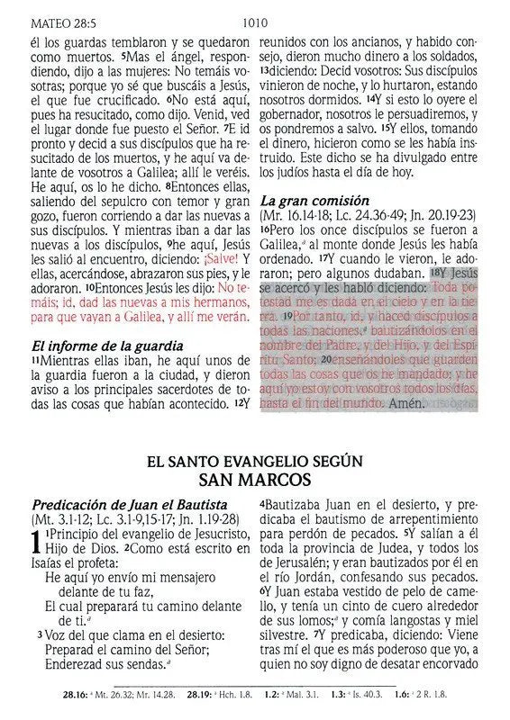 Biblia Reina Valera 1960 Letra Grande de Promesas Negra imitación piel