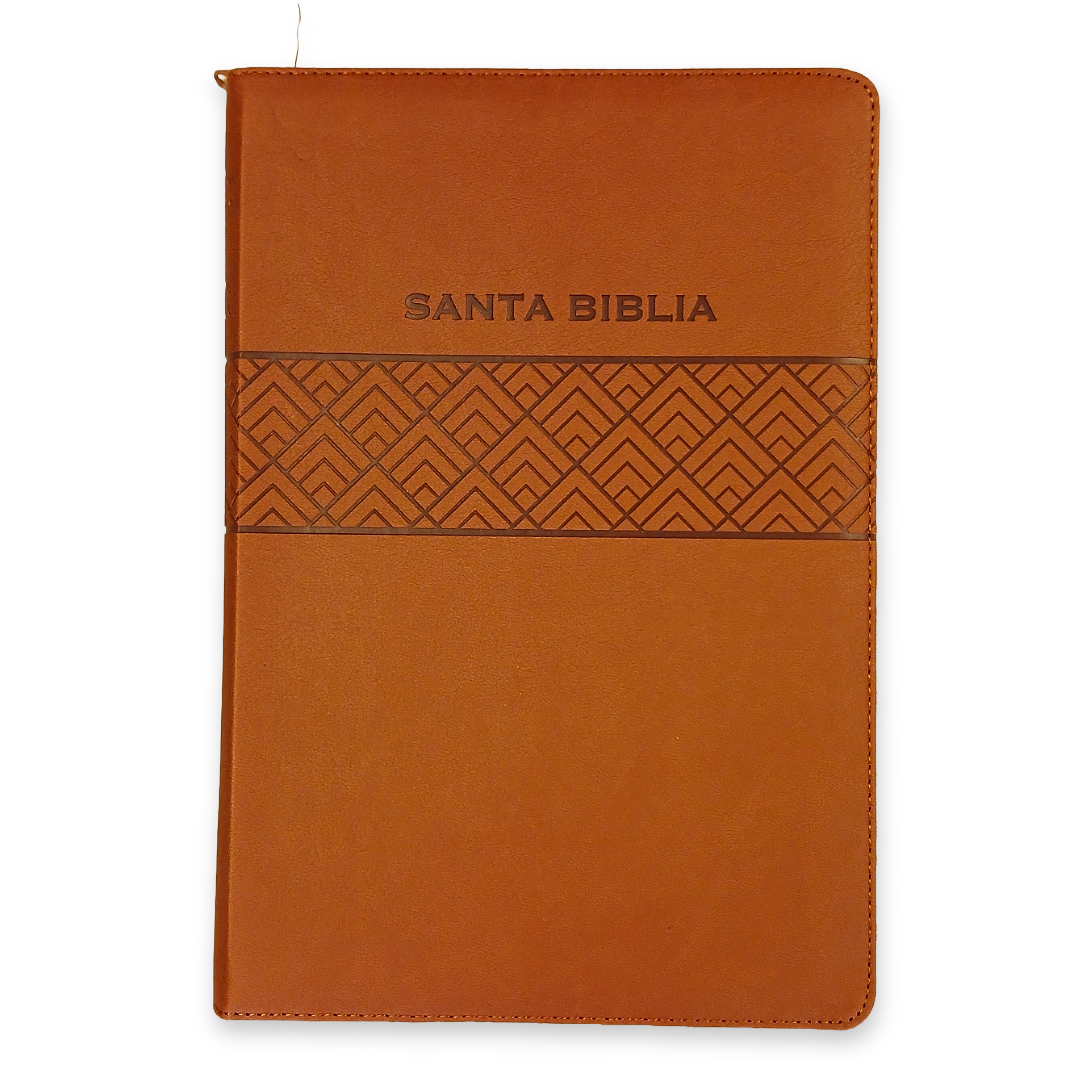 Biblia Reina Valera 1960 de Promesas · Letra gigante · Imitación piel café con cierre