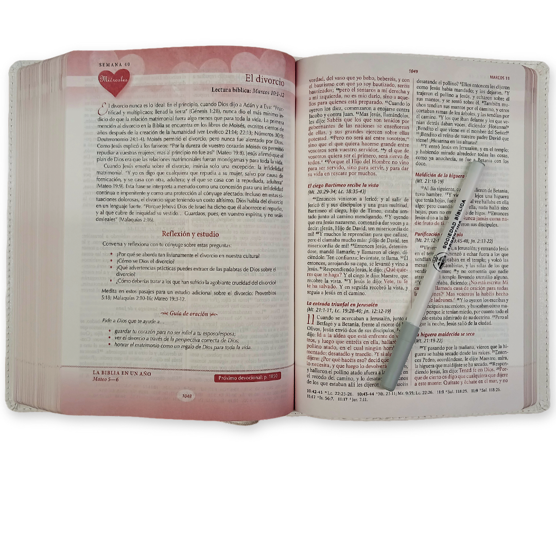 Biblia RVR 1960 Devocional Los lenguajes del amor Oro Rosa