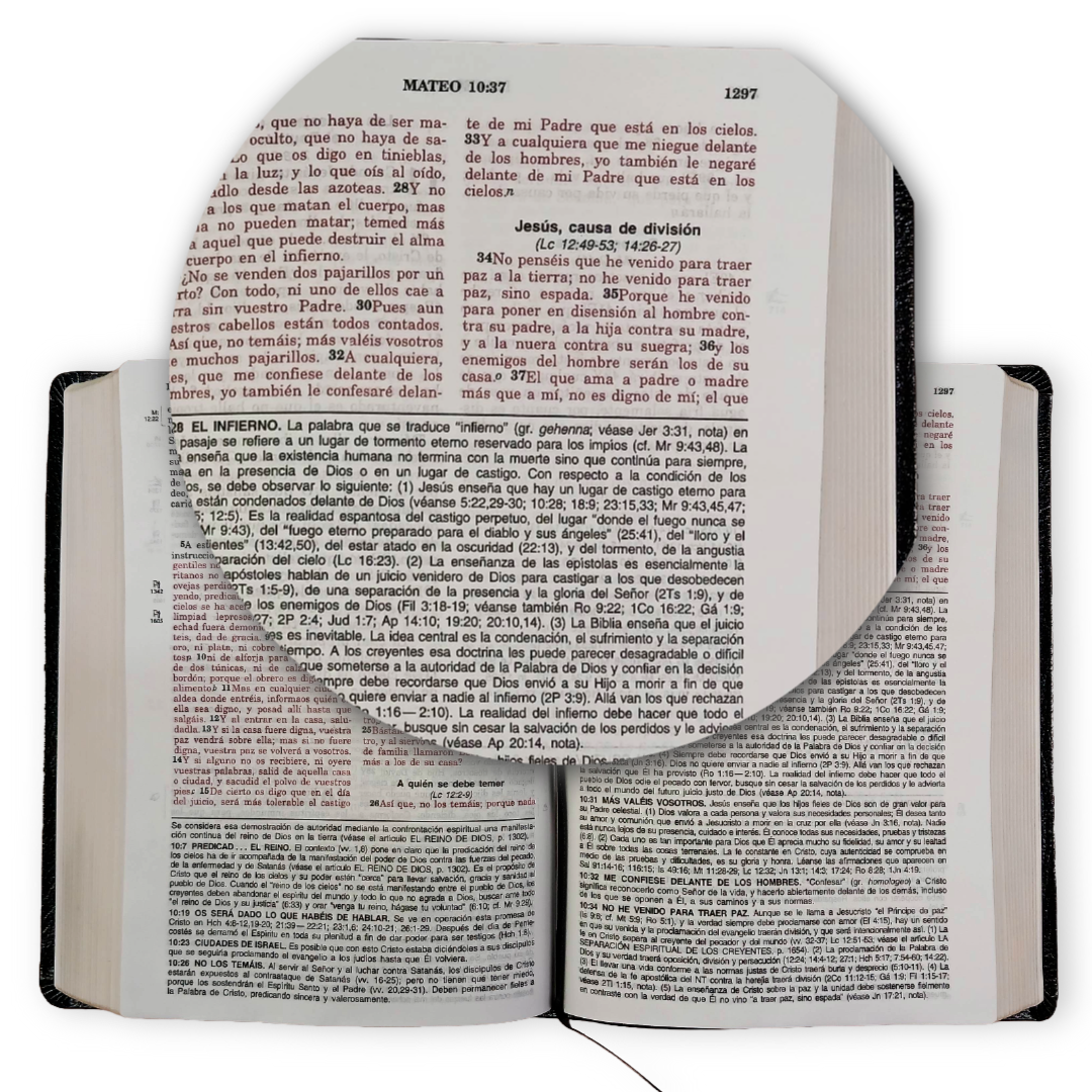 Biblia De Estudio Vida Plena Piel Reina Valera 1960