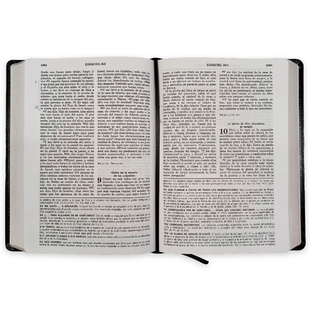 Biblia De Estudio Vida Plena Piel Reina Valera 1960