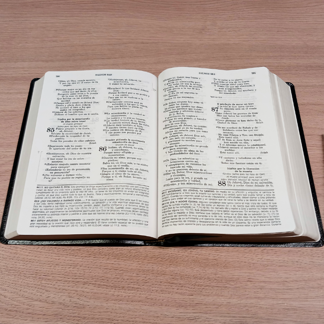 Biblia De Estudio Vida Plena Piel Reina Valera 1960