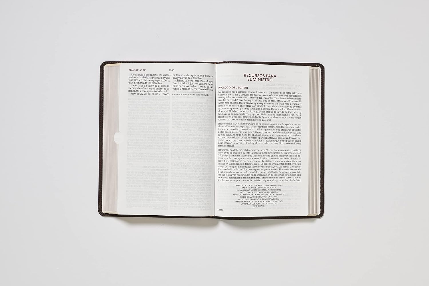 Rvr60, Biblia Del Ministro, Letra Gigante, Leathersoft, Café, Palabras De Jesús En Rojo