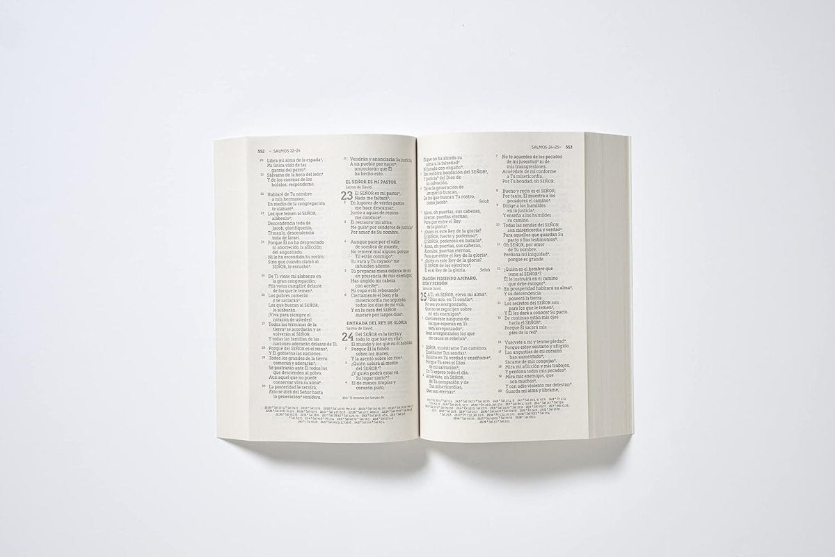 Biblia Nueva Biblia De Las Américas (NBLA) Económica, Letra 10 Pt, 14×21, Tapa Rústica