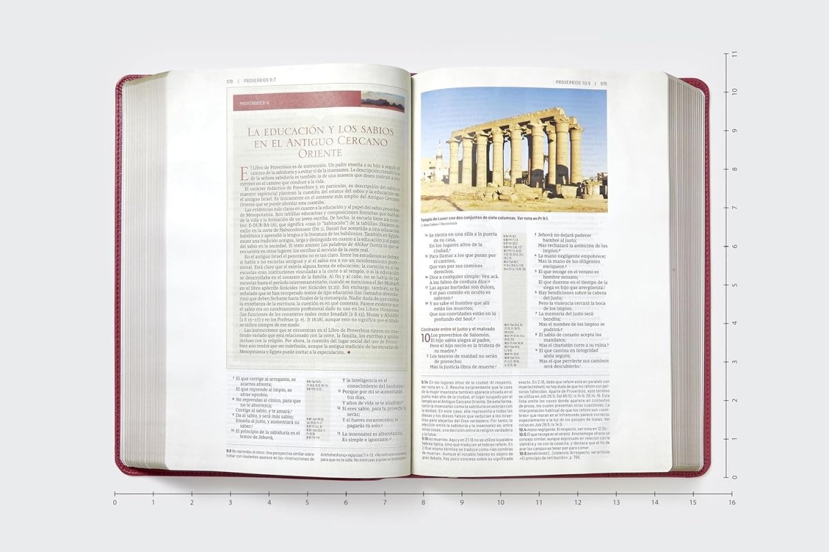 Biblia Reina-Valera 1960 De Estudio Trasfondo Cultural, Palabras De Jesús En Rojo, Letra 8 Pt, 20×28, Ilustrada, Índice, Tapa PU, Rojo Vino