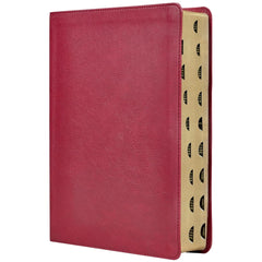 Biblia Reina-Valera 1960 De Estudio Trasfondo Cultural, Palabras De Jesús En Rojo, Letra 8 Pt, 20×28, Ilustrada, Índice, Tapa PU, Rojo Vino