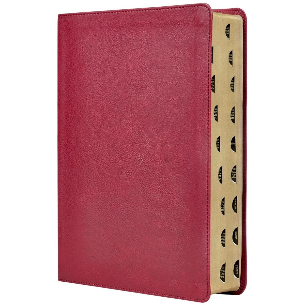 Biblia Reina-Valera 1960 De Estudio Trasfondo Cultural, Palabras De Jesús En Rojo, Letra 8 Pt, 20×28, Ilustrada, Índice, Tapa PU, Rojo Vino