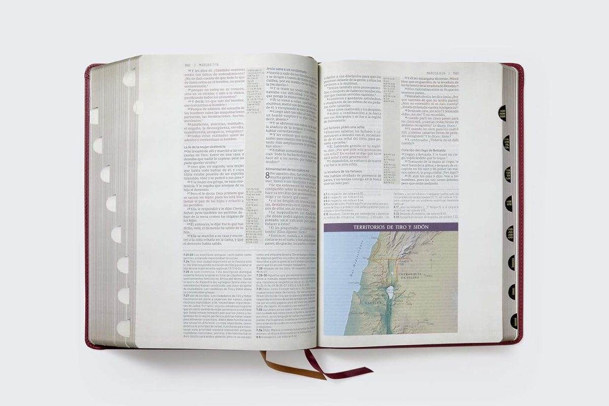 Biblia Reina-Valera 1960 De Estudio Trasfondo Cultural, Palabras De Jesús En Rojo, Letra 8 Pt, 20×28, Ilustrada, Índice, Tapa PU, Rojo Vino