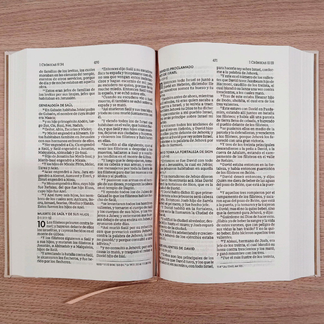 Biblia Reina Valera 1960 Para Bodas Blanca