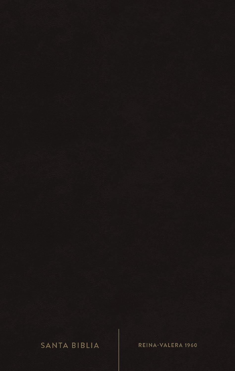 Biblia Reina-Valera 1960, Palabras De Jesús En Rojo, Letra 10 Pt, 14×22, Tapa Suave, Negro