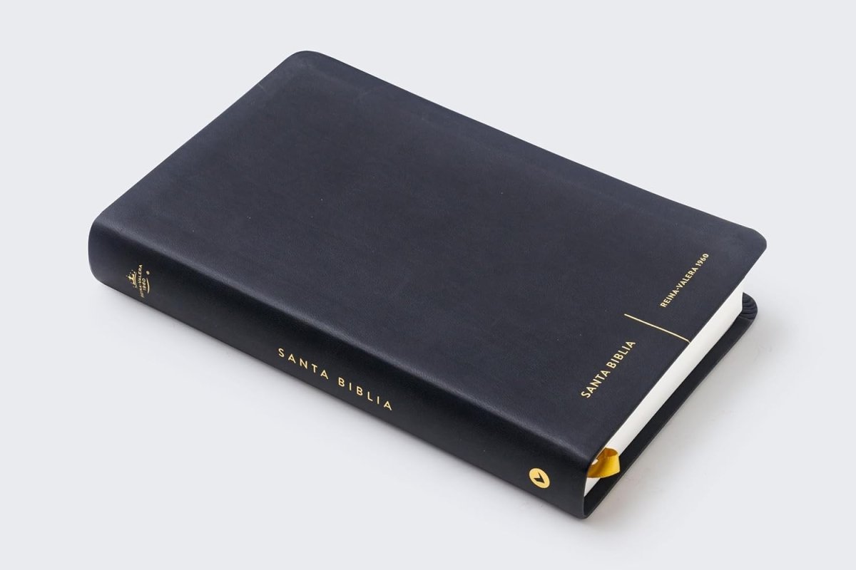 Biblia Reina-Valera 1960, Palabras De Jesús En Rojo, Letra 10 Pt, 14×22, Tapa Suave, Negro