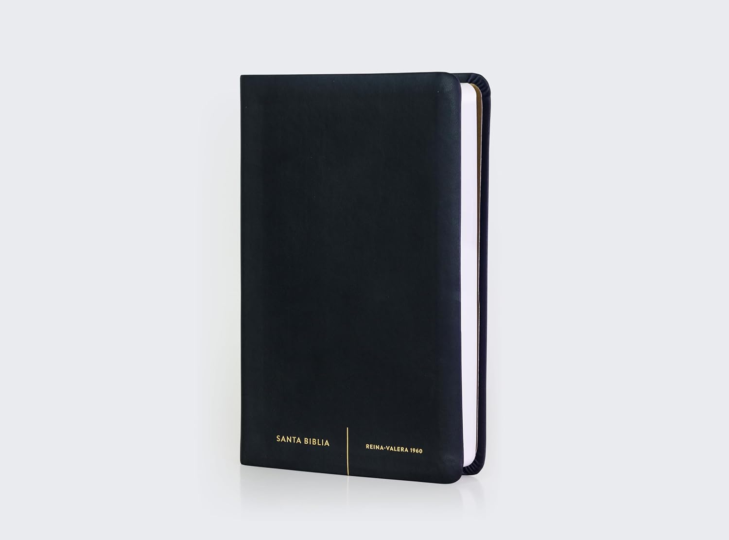 Biblia Reina-Valera 1960, Palabras De Jesús En Rojo, Letra 10 Pt, 14×22, Tapa Suave, Negro