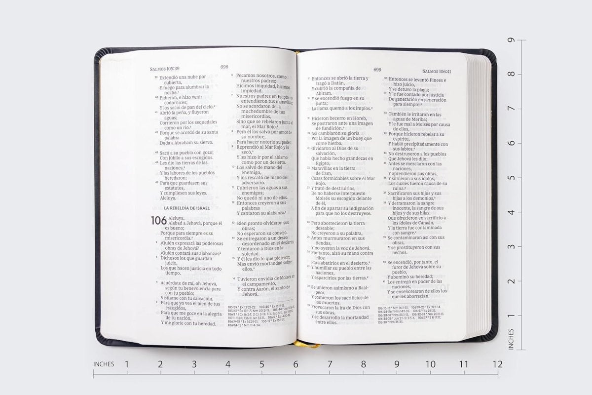 Biblia Reina-Valera 1960, Palabras De Jesús En Rojo, Letra 10 Pt, 14×22, Tapa Suave, Negro