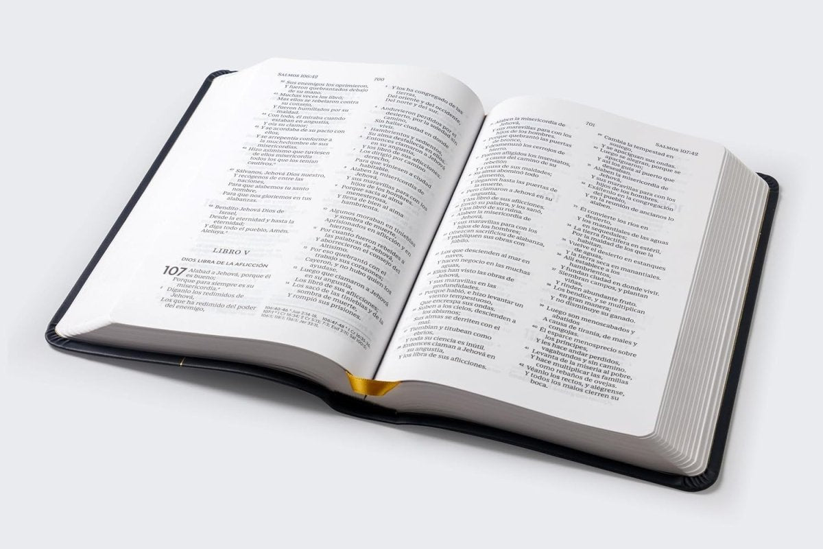 Biblia Reina-Valera 1960, Palabras De Jesús En Rojo, Letra 10 Pt, 14×22, Tapa Suave, Negro